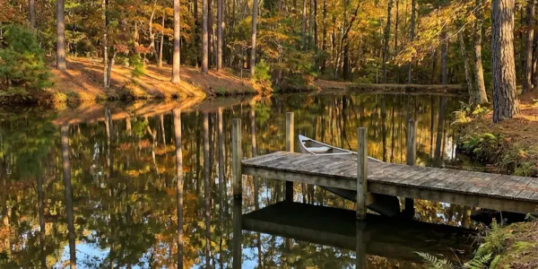 Sell Landlocked Land in NC With No Easement (2026)